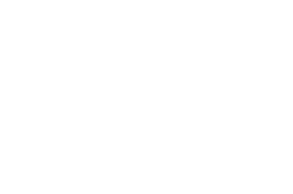 N1 4x4 Logo