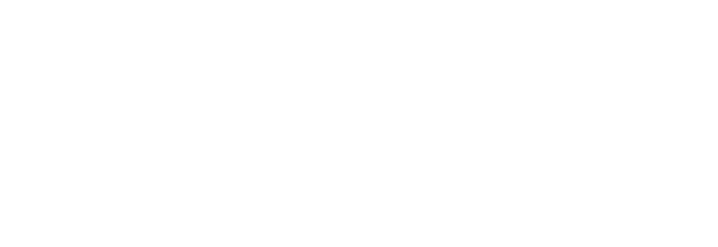 iPlan logo