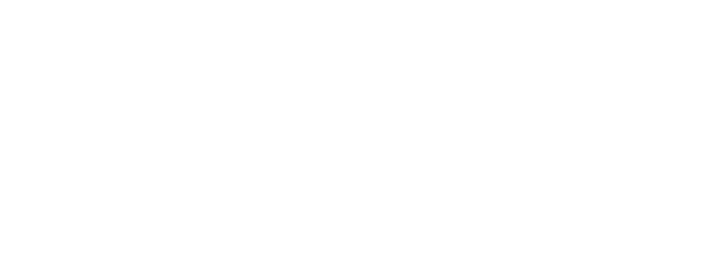 Securitas Logo